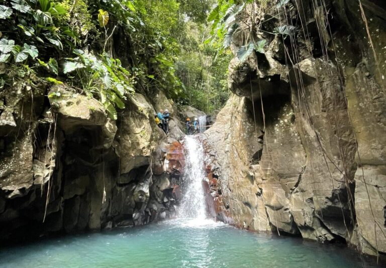 Cascade et vasque turquoise encaissées dans un canyon de Guadeloupe