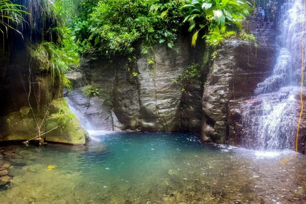 Vasque turquoise et cascades en forêt tropicale, canyon du Bois Malaisé (Bouillante)