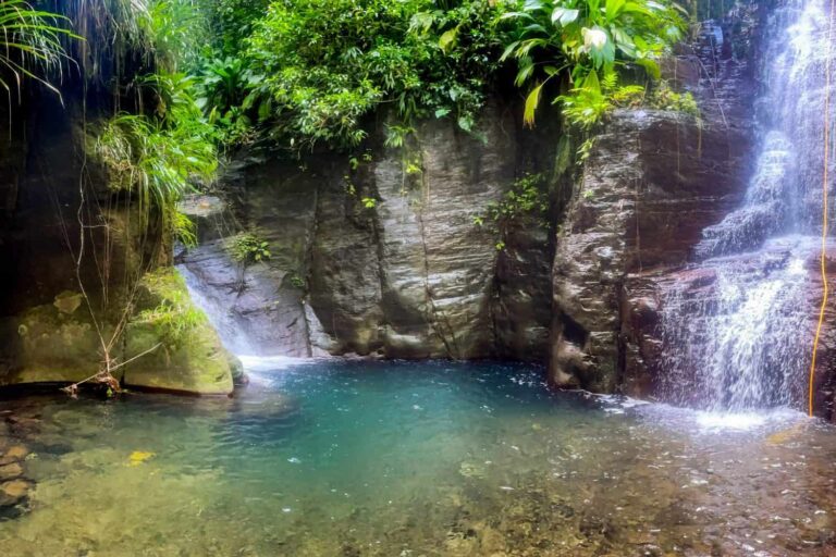 Experten-Canyoning im Bois Malaisé, Guadeloupe