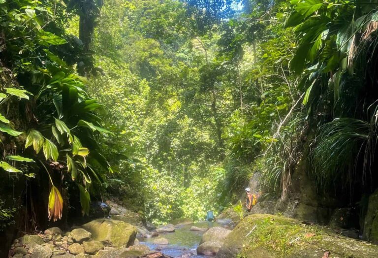 Experten-Canyoning im Bois Malaisé, Guadeloupe