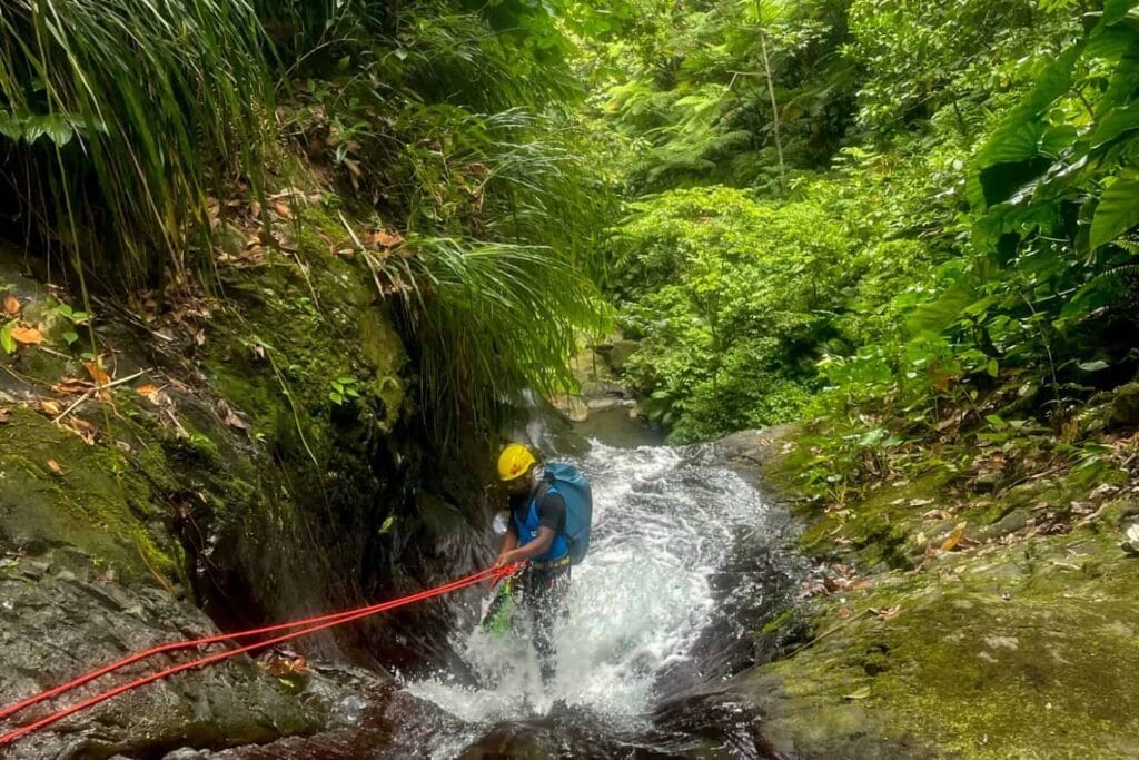 descente en rappel dans la cascade de Bois Malaisé, Bouillante