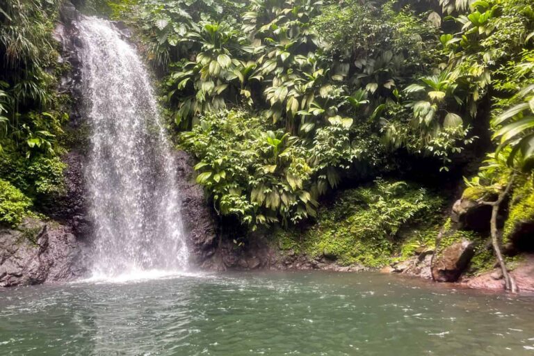 Le Saut d&rsquo;eau du Matouba : cascade, histoire et légende à Saint-Claude