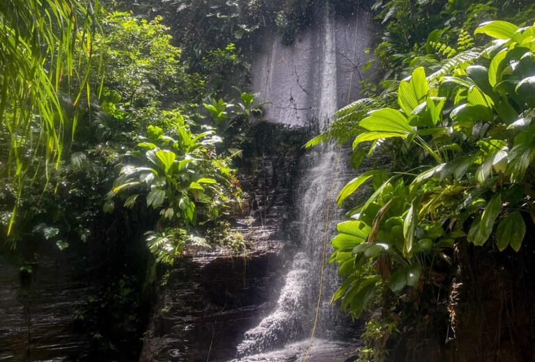 Canyoning expert NOIR en journée