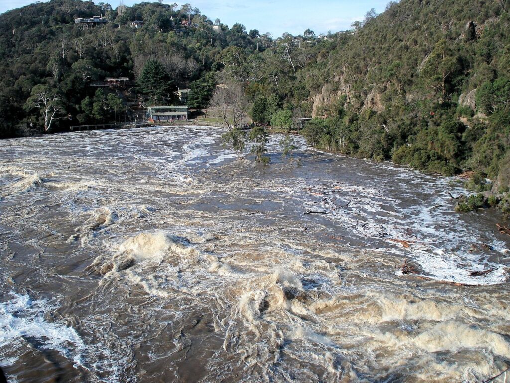Gorge en crue : eau brune et écumeuse, arbres à moitié noyés, débris flottants