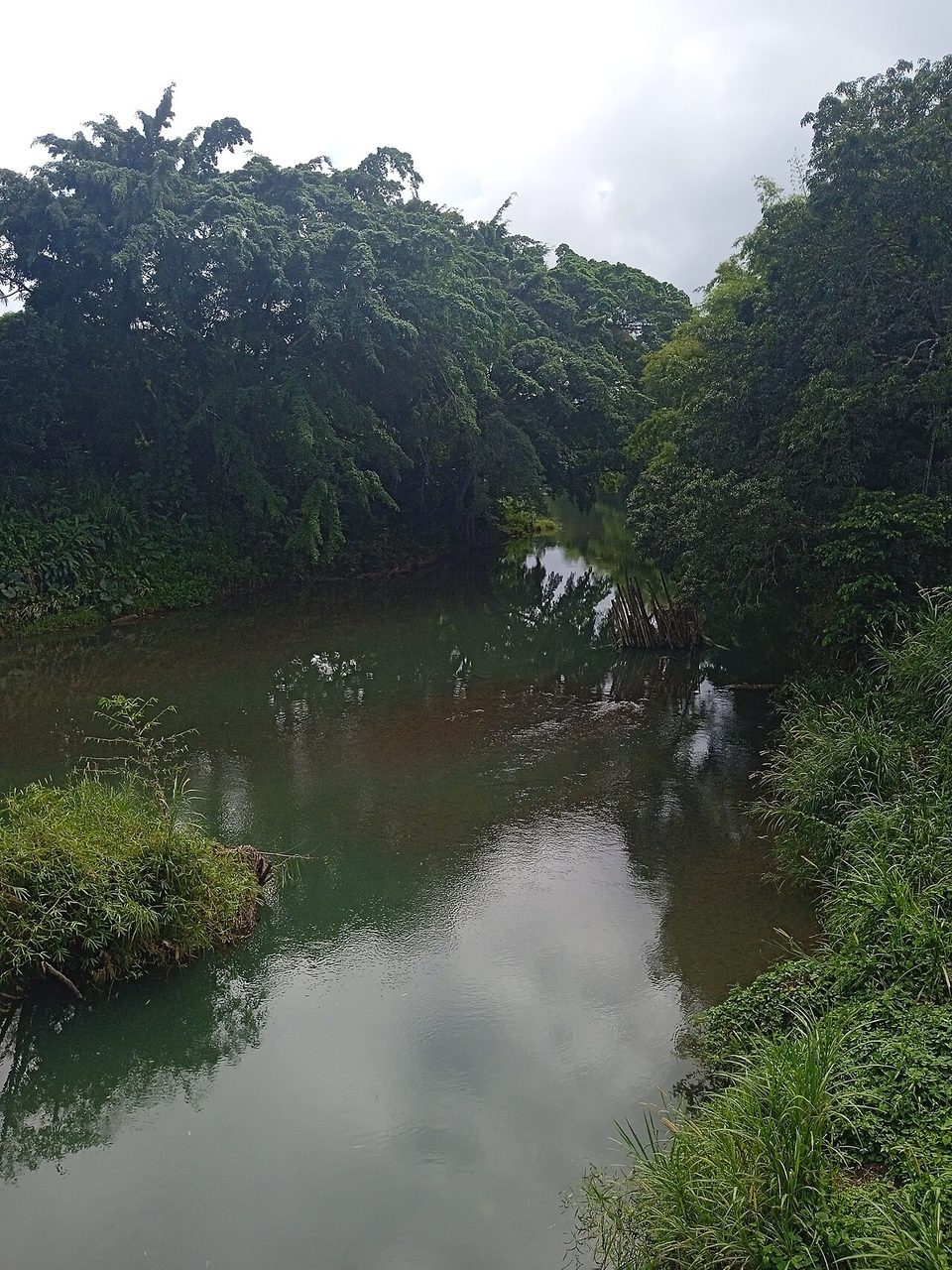 La Grande Rivière à Goyaves, eau calme et verte bordée d’une végétation dense